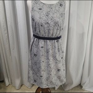 Ann Taylor Loft Dress